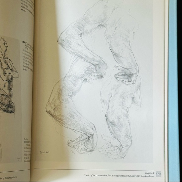 The Artists’ Guide to Human Anatomy An Illustrated Reference Hardcover Book - Picture 12 of 16